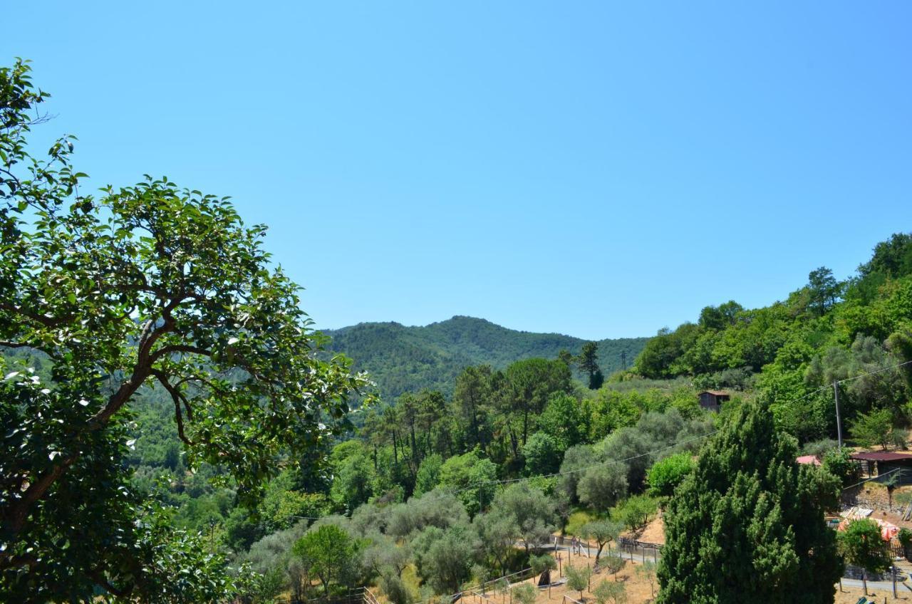 Agriturismo Torsivi Castiglione Chiavarese Exterior photo